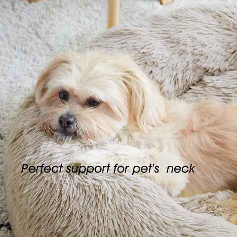 Super Comfortable Bed for Cats and Dogs - The Perfect Place for your Pet to Rest and Sleep Fully!