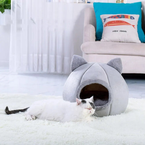 Tent Bed for Pets - Provides Comfort and Coziness for Your Faithful Four-Legged Companions!