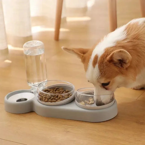 Pet Feeder - Stay Ahead of Your Pet's Needs